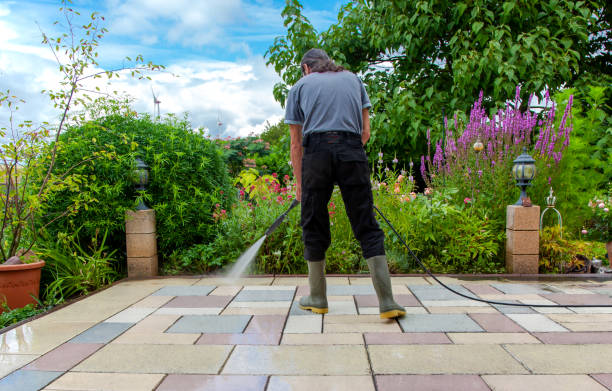 Best Roof Cleaning and Mildew Removal in Tashua, CT